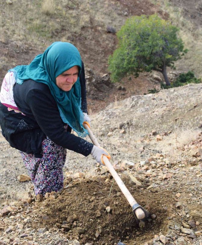 Kilis’te 16 Hektara Badem Dikildi