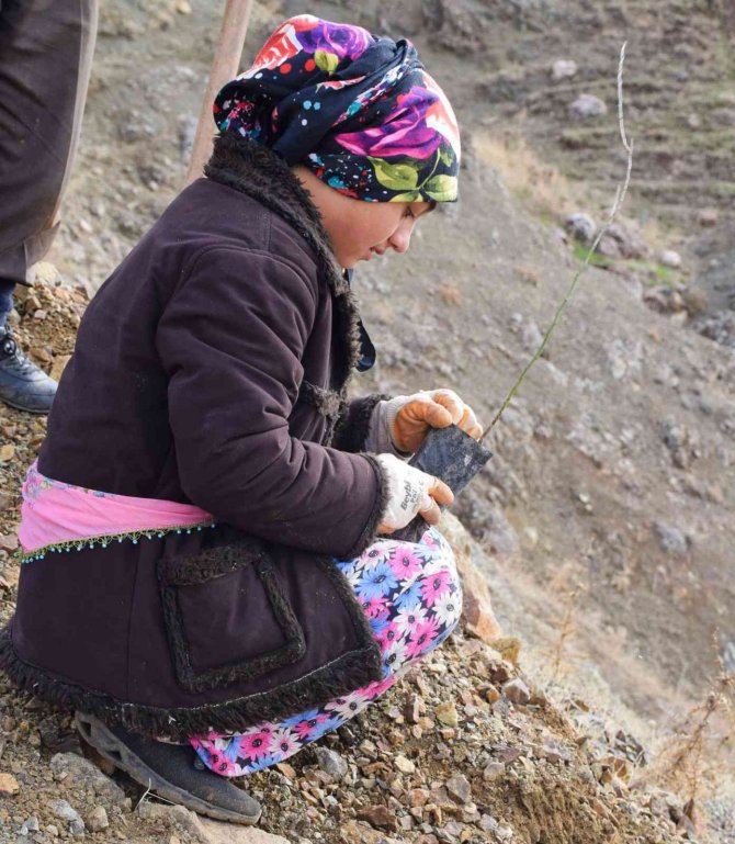 Kilis’te 16 Hektara Badem Dikildi