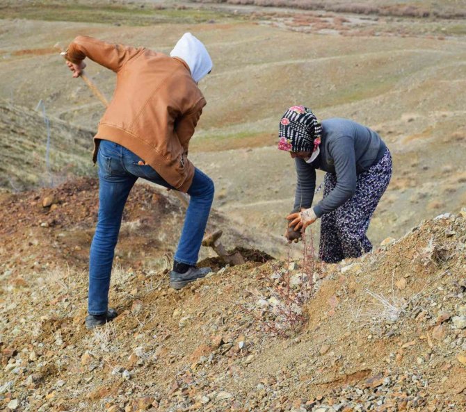 Kilis’te 16 Hektara Badem Dikildi
