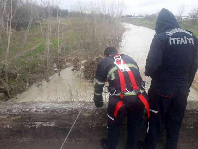 Kırklareli’nde Derede Kum Adacığında Mahsur Kalan Köpek Kurtarıldı