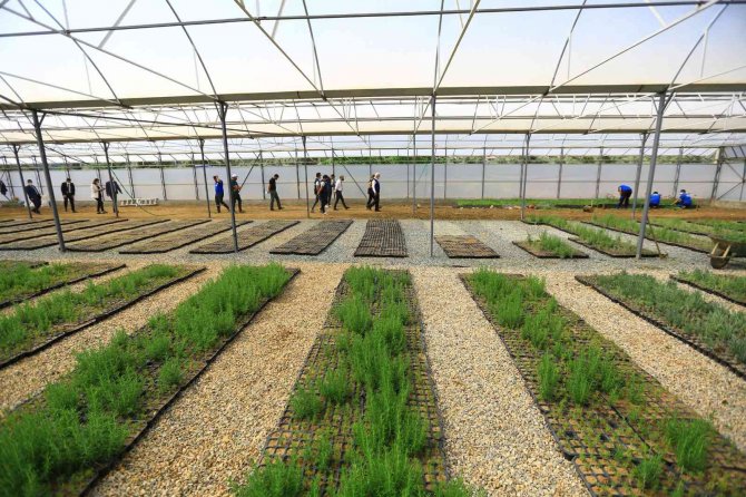 Yağmur Hasadıyla Yılda 300 Ton Su Tasarrufu