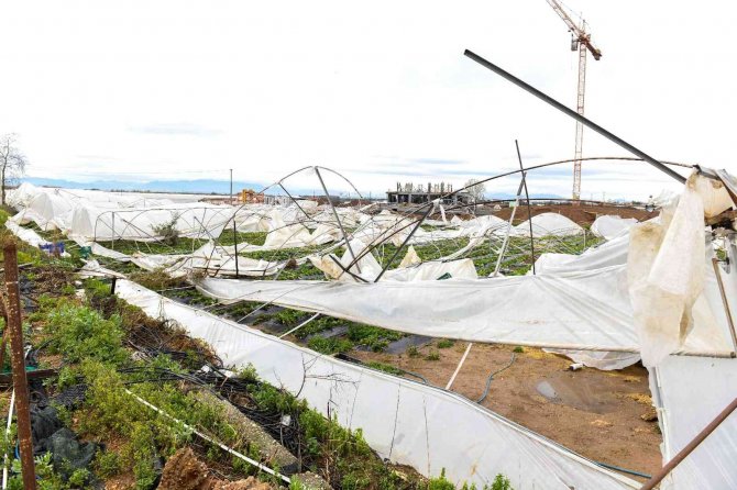 Başkan Uysal, Hortumun Vurduğu Seraları İnceledi