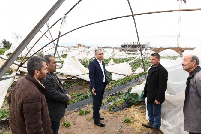 Başkan Uysal, Hortumun Vurduğu Seraları İnceledi