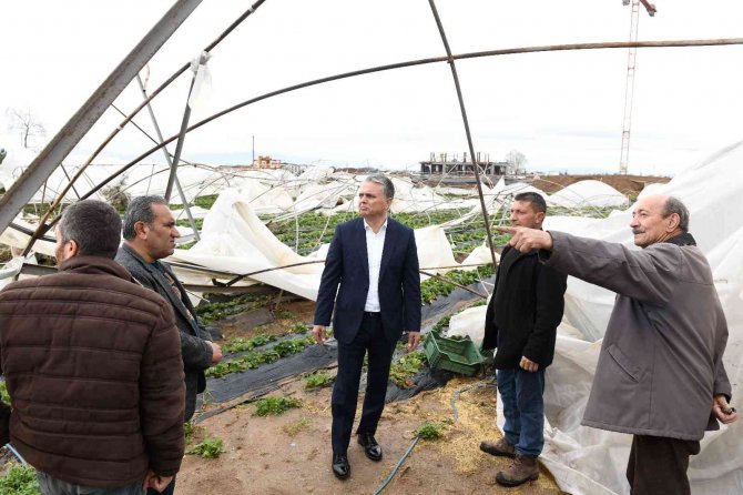 Başkan Uysal, Hortumun Vurduğu Seraları İnceledi