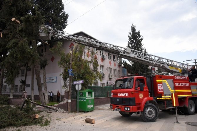 Osmaniye’de Fırtına Sonrası Temizlik Çalışmaları Sürüyor