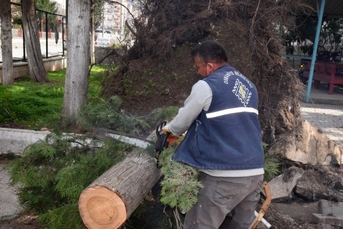 Osmaniye’de Fırtına Sonrası Temizlik Çalışmaları Sürüyor