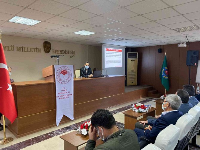 Erdoğan, Arı Ölümlerinin Önüne Geçmek İçin Çiftçileri Uyardı