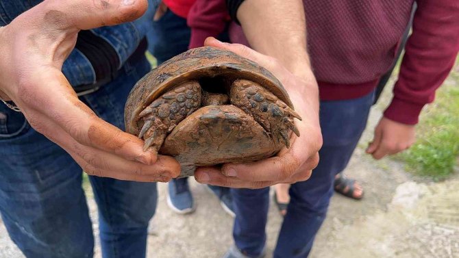 Hatay’da Kışlada Çıkan Otluk Yangını Söndürüldü