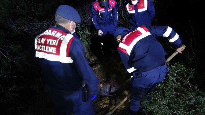 Mezarlık Yakınındaki Ormanlık Alanda Ağzı Bağlanmış Köpek Cesedi Çıktı