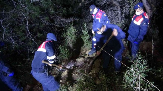 Mezarlık Yakınındaki Ormanlık Alanda Ağzı Bağlanmış Köpek Cesedi Çıktı