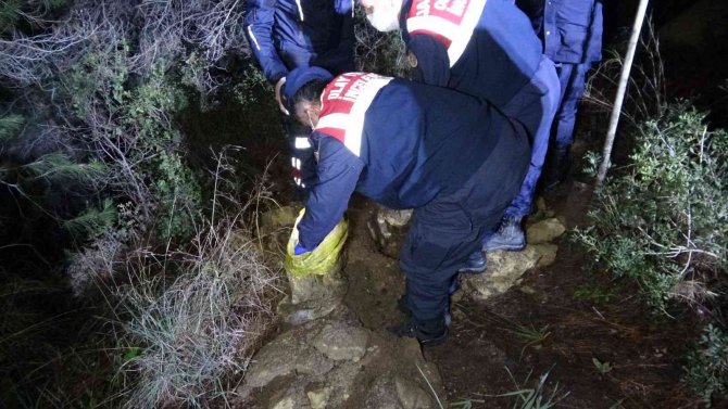 Mezarlık Yakınındaki Ormanlık Alanda Ağzı Bağlanmış Köpek Cesedi Çıktı