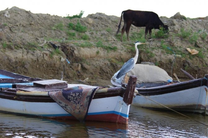 Latmos’u Korumak İçin Çağrıda Bulundu