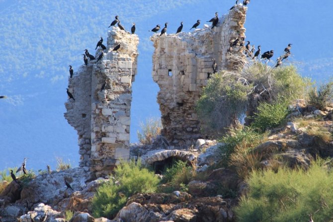 Latmos’u Korumak İçin Çağrıda Bulundu
