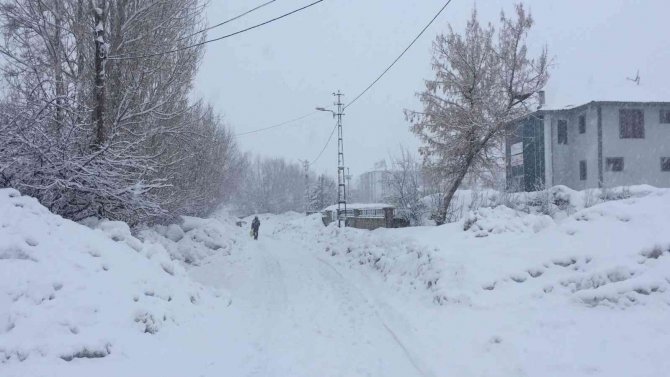 Karlıova’da Kar Yağışı Etkili Oldu