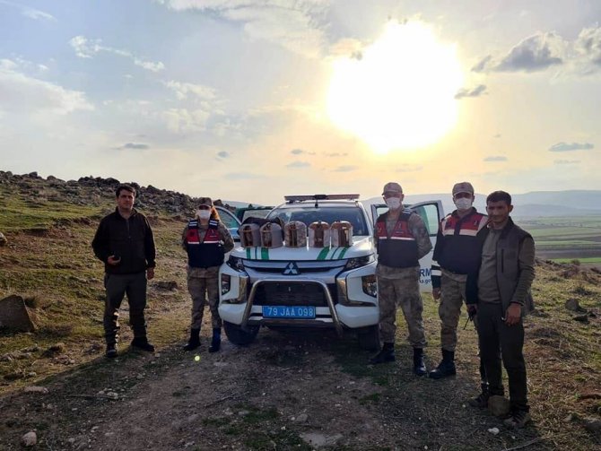 Kınalı Keklik Avcılarına Suçüstü Yakalandı