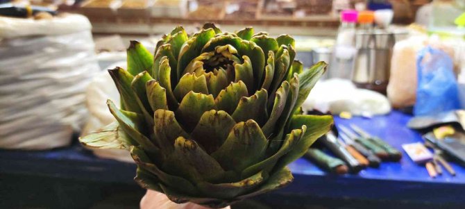 Enginar Tezgahtaki Yerini Aldı