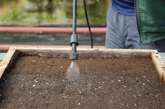 Gölbaşı Belediyesi Ata Tohumlarını Toprakla Buluşturdu