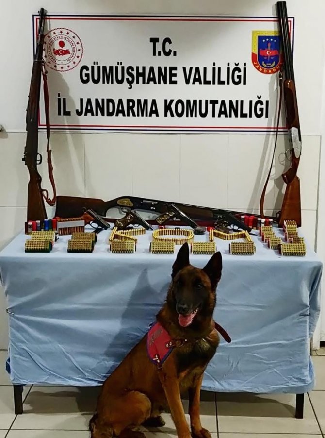 Jandarma’dan Kaçak Silah Operasyonu