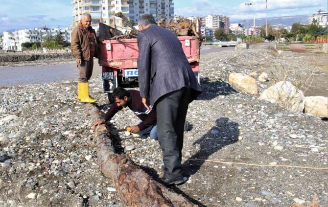 Mersin’de Selin Denize Döktüğü Odunlar Kışlık Yakacak İçin Toplandı