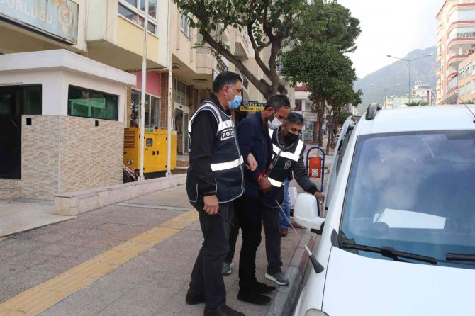 Muz Ve Avokado Hırsızları Yakalandı