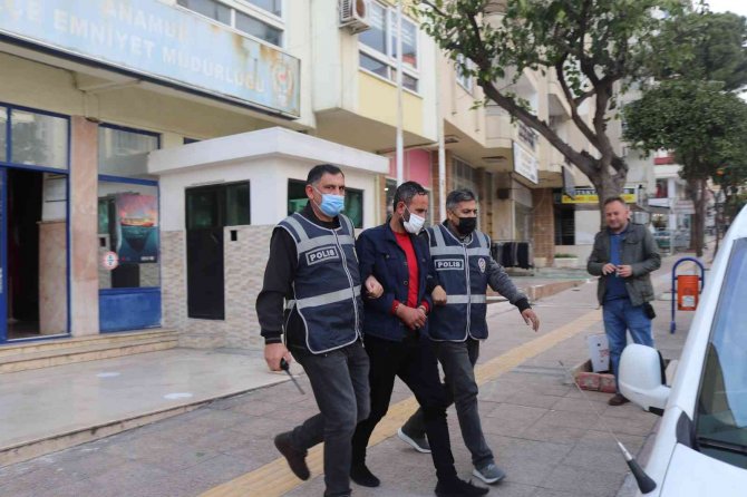 Muz Ve Avokado Hırsızları Yakalandı