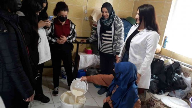 Kargı Tulum Peyniri Nesilden Nesile Aktarılacak