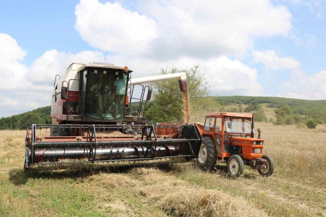 Türk Buğdayından Arap Ve Afrika Ekmeği, Rus Buğdayından İse Türk Ekmeği Yapılıyor