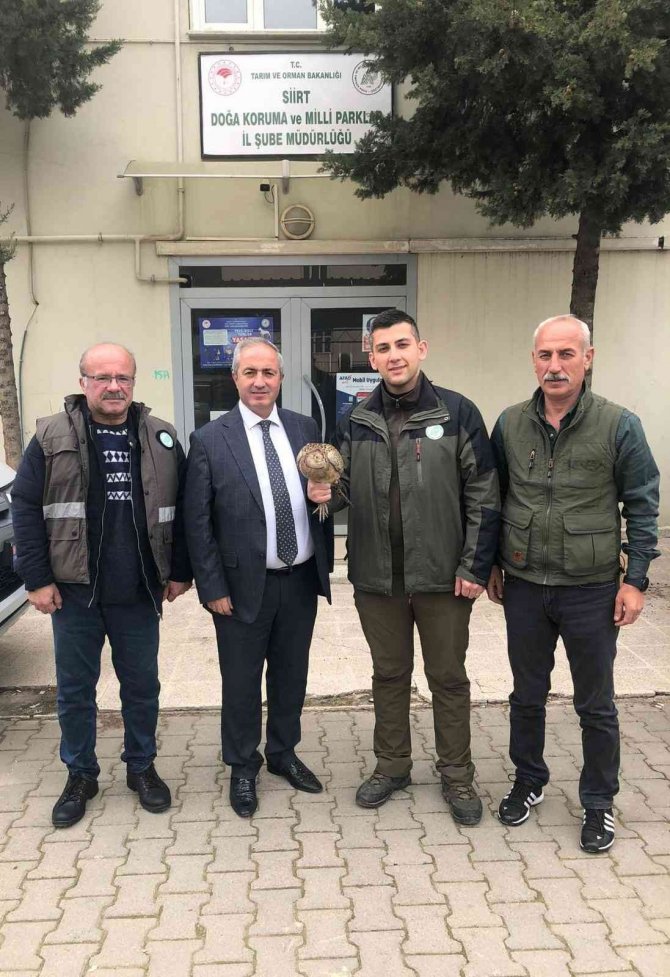 Siirt’te Yaralı Bulunan Sülün Tedavisinin Ardından Doğaya Salındı