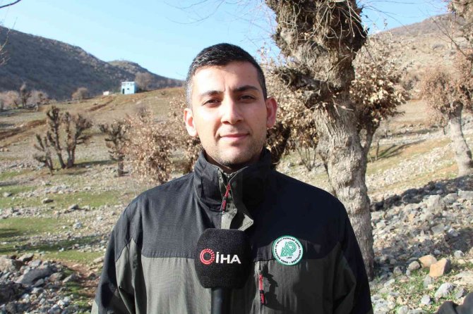 Siirt’te Yaralı Bulunan Sülün Tedavisinin Ardından Doğaya Salındı