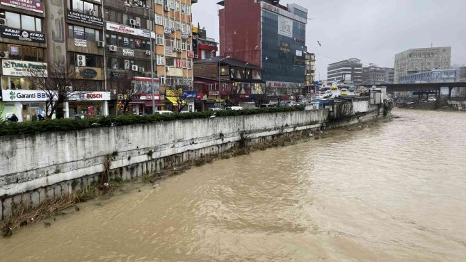 Derenin Rengi Sarıya Döndü