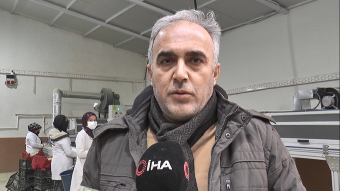 Türkiye’nin En İyi Sarımsağı Kapadokya’da Susuz Yetişiyor