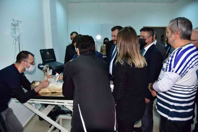 Baün’de Hayvan Hastanesinde Yeni Yatırım