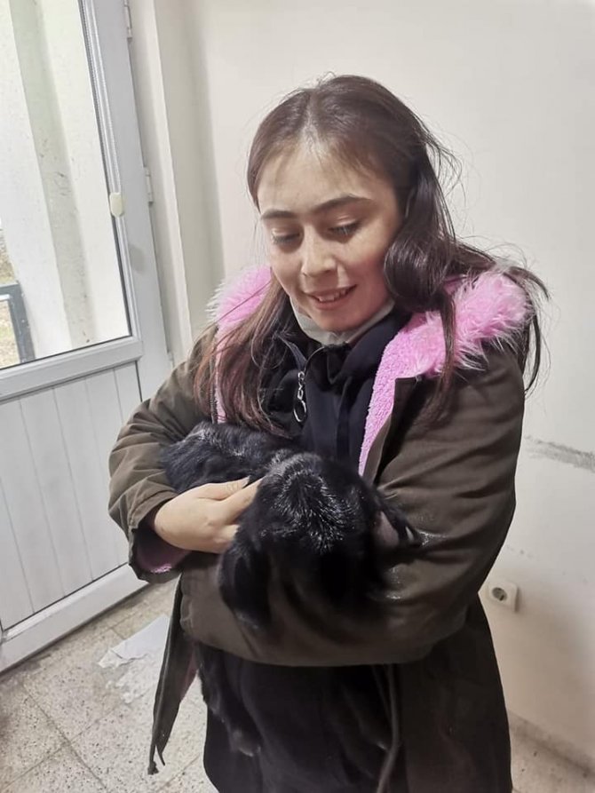 Gediz’de Numune Olarak Alınan Oğlak Sağlığına Kavuştu