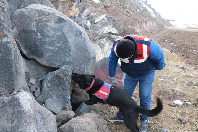Iğdır’da 2 Kilo 648 Gram Eroin Ele Geçirildi