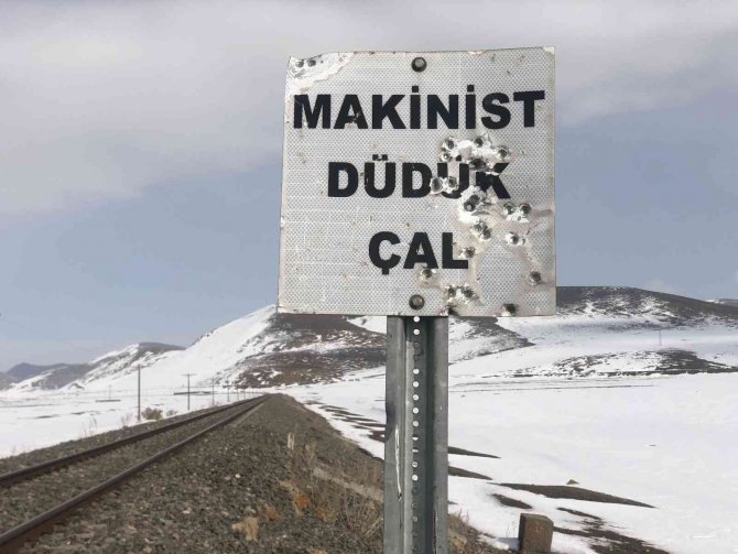 Kars’ta, Tabelalar Magandaların Hedef Tahtası Oldu
