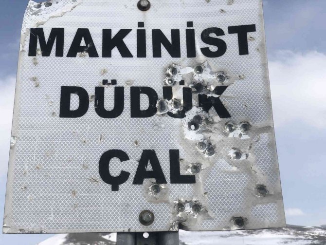 Kars’ta, Tabelalar Magandaların Hedef Tahtası Oldu