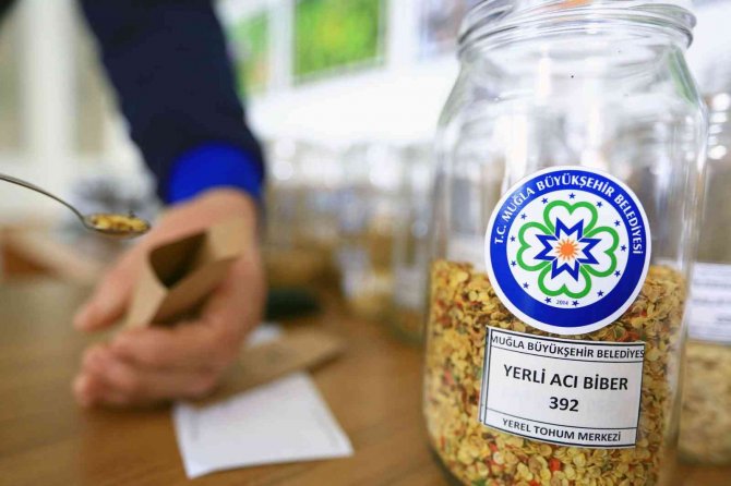 Ata Tohumları Topraktan Sofraya Ulaşıyor