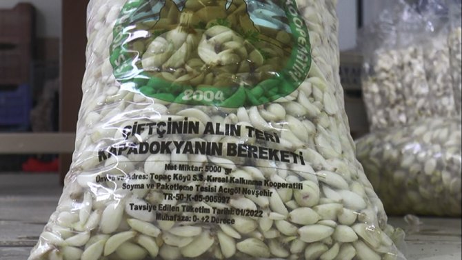 Türkiye’nin En İyi Sarımsağı Kapadokya’da Susuz Yetişiyor