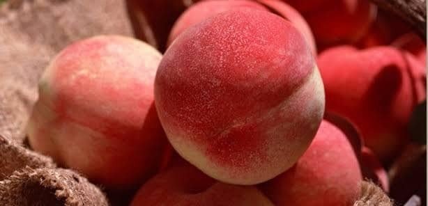 Osmaneli’nde Meyve Suyu Üretimi Tesisi Faaliyete Geçecek