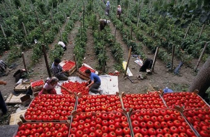 Osmaneli’nde Meyve Suyu Üretimi Tesisi Faaliyete Geçecek