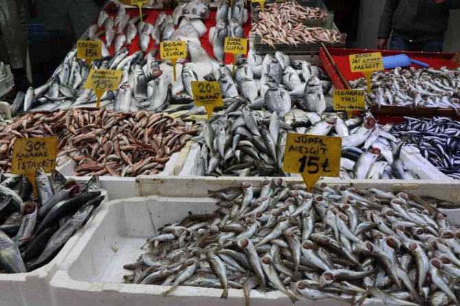 Kırmızı Ve Beyaz Et Fiyatları Balıkçılara Yaradı