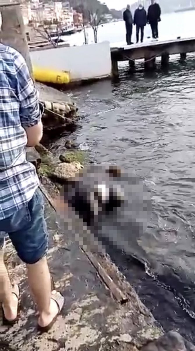 Sarıyer’de Denizden Kadın Cesedi Çıktı