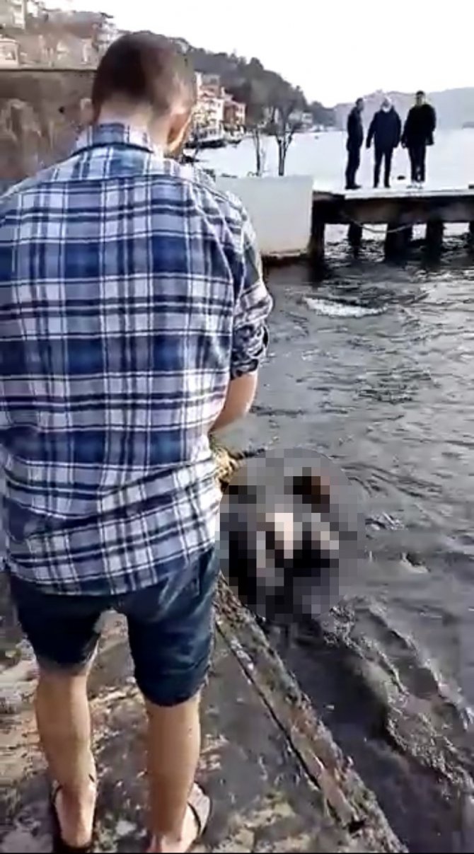 Sarıyer’de Denizden Kadın Cesedi Çıktı