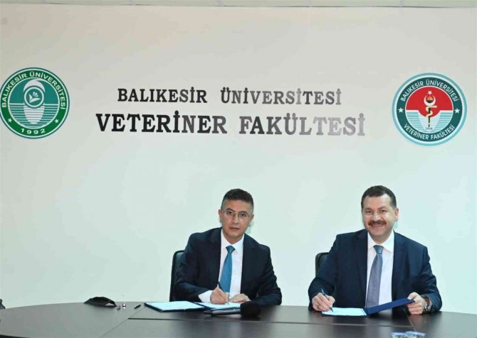 Sokak Hayvanları İçin Güç Birliği