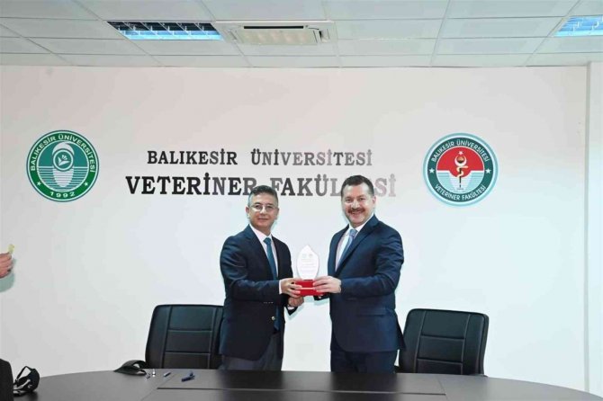 Sokak Hayvanları İçin Güç Birliği