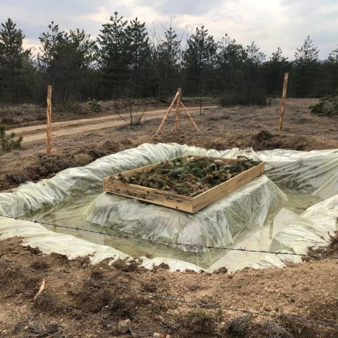 Orman Ekiplerine ’Çam Kese Böceği’ Eğitimi