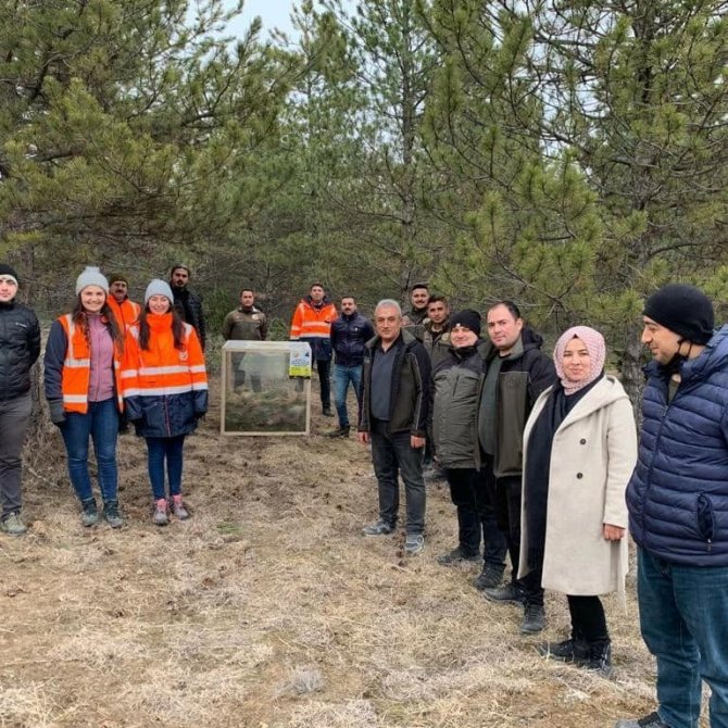 Orman Ekiplerine ’Çam Kese Böceği’ Eğitimi