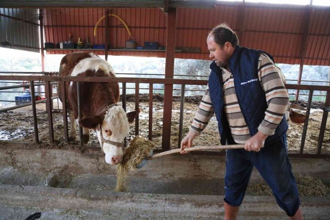 Üreticiler Çiğ Süt Desteğinin Arttırılmasını İstiyor