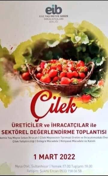 Çilek Sektörü Aydın’da Masaya Yatırılacak