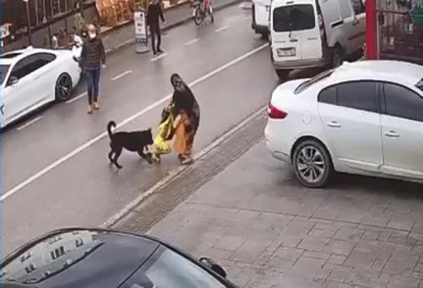 Kocaeli’de Çocuğu Köpek Saldırısından Koruyan Esnaf O Anları Anlattı